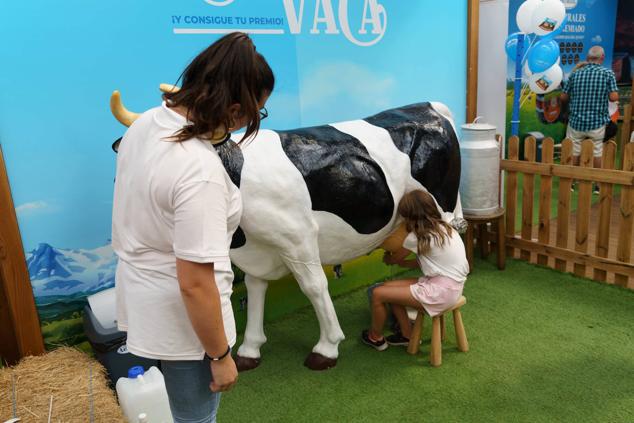 Fotos: Las mejores imágenes de la Feria de Muestras