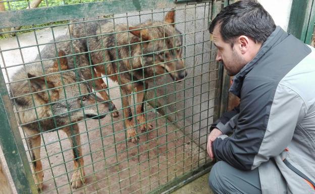 Cercado de los lobos en La Casa del Lobo 