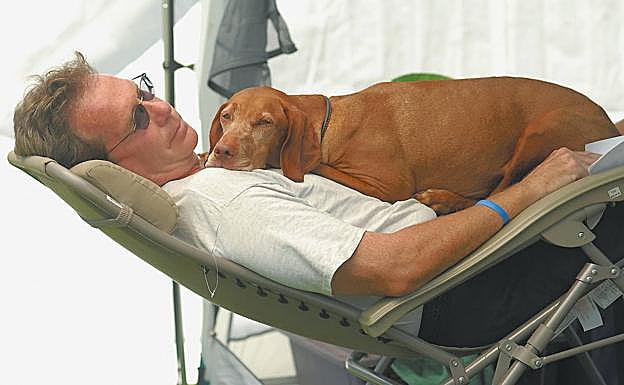 Se hará una experiencia piloto durante 3 meses