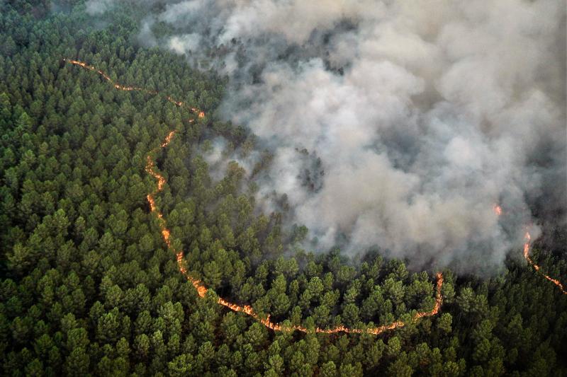 Fuego contra fuego. Vista áerea de un cortafuegos realizado por los bomberos franceses en los bosques de Saint-Magne para intentar frenar el avance de uno de los megaincendios que han asolado Francia. Cinco naciones europeas, entre ellas Alemania, Rumanía y Grecia, han acudido en ayuda de los bomberos y militares galos con sus medios de extinción