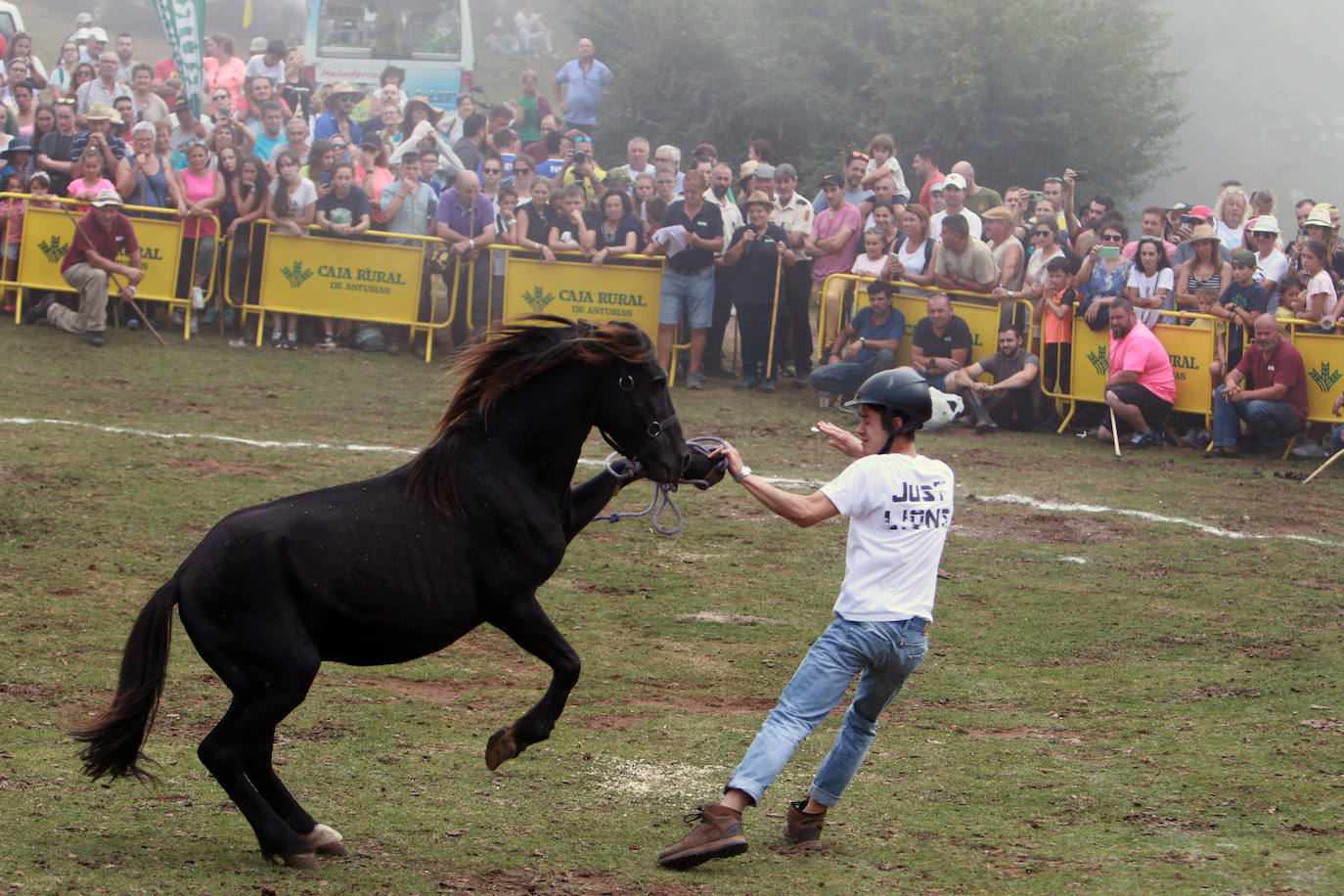 Fotos: La Fiesta del Asturcón recupera a su público