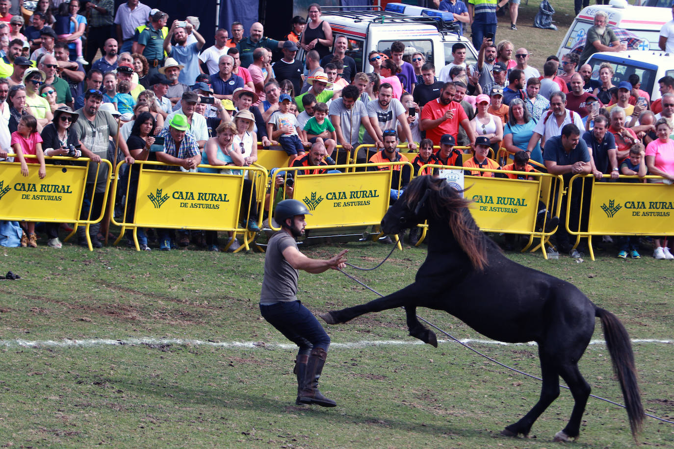 Fotos: La Fiesta del Asturcón recupera a su público
