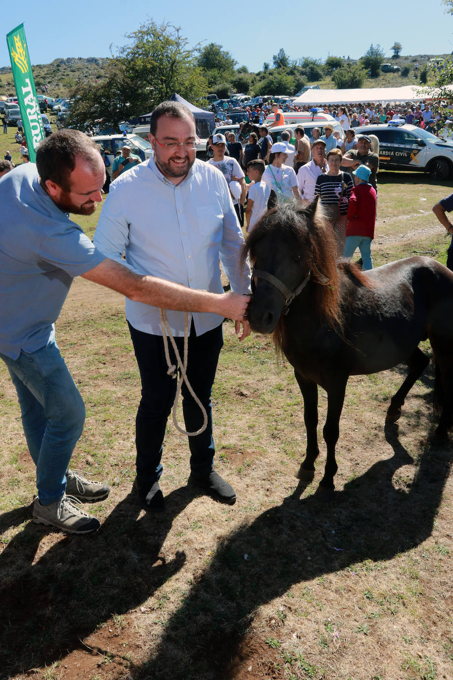 Fotos: La Fiesta del Asturcón recupera a su público