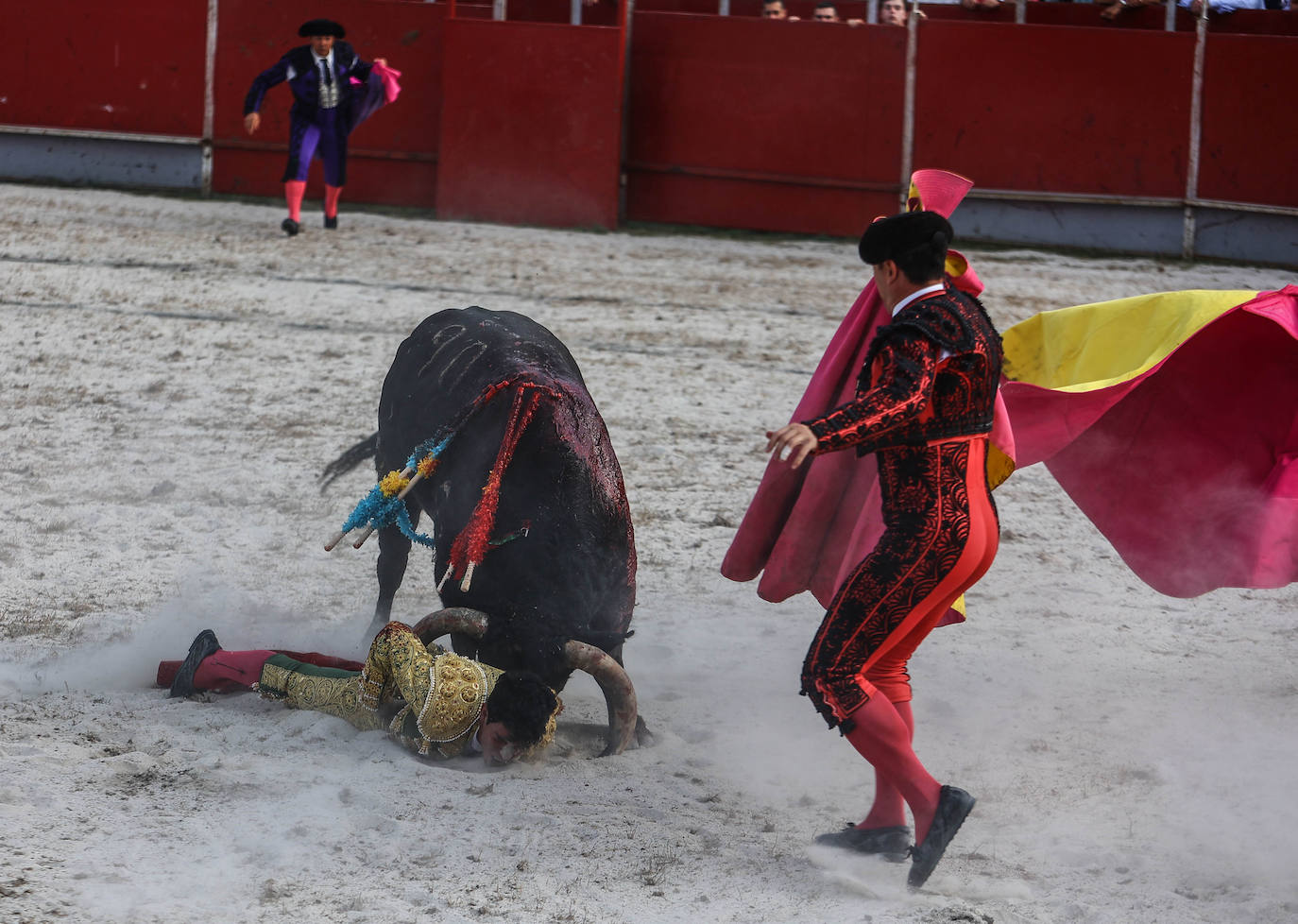 Fotos: Tensión y toros en Benia de Onís