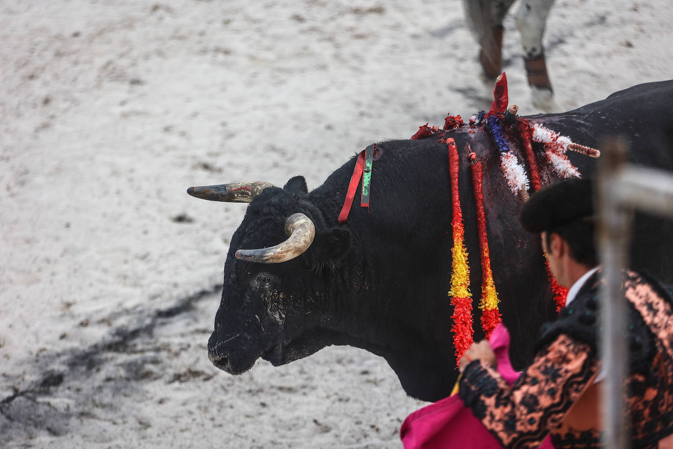 Fotos: Tensión y toros en Benia de Onís