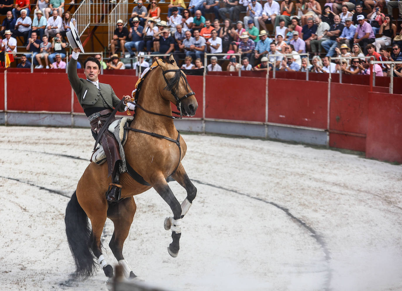 Fotos: Tensión y toros en Benia de Onís