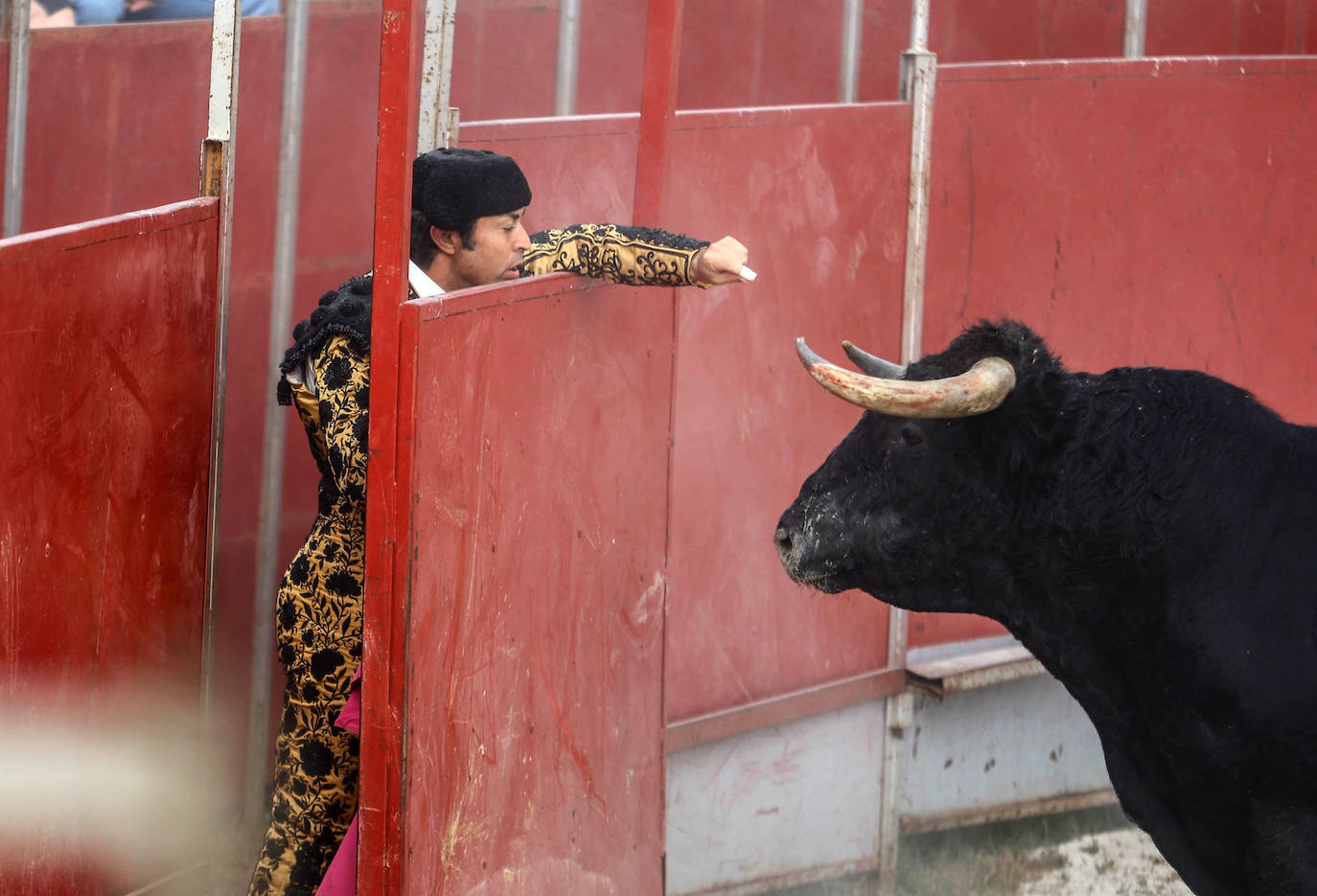 Fotos: Tensión y toros en Benia de Onís