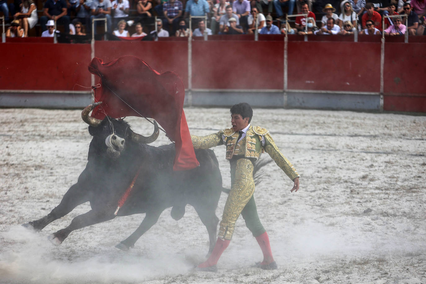 Fotos: Tensión y toros en Benia de Onís