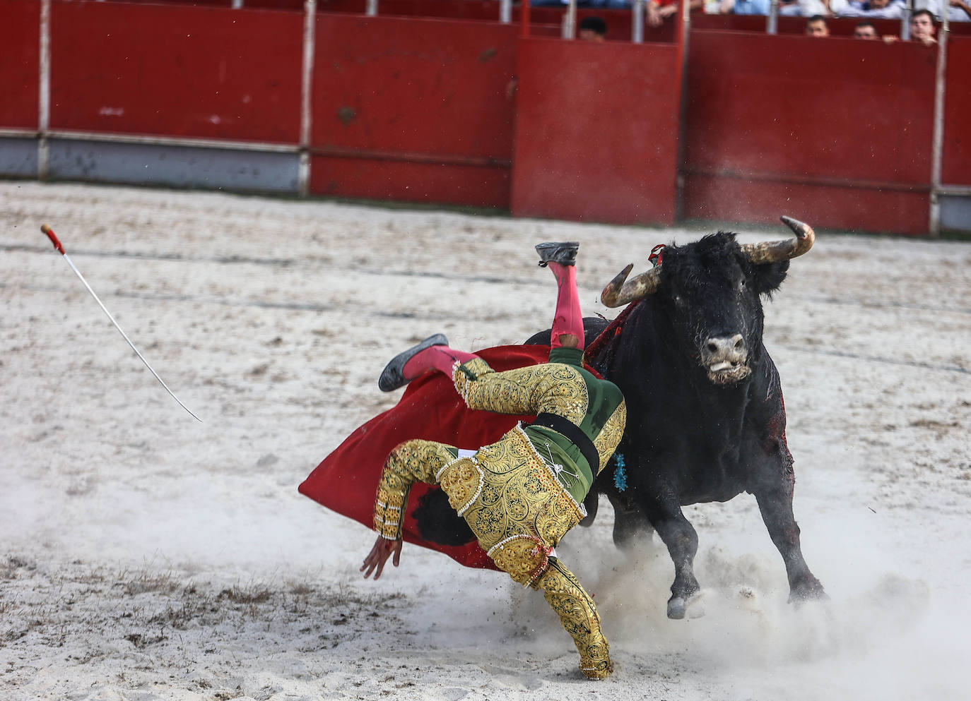 Fotos: Tensión y toros en Benia de Onís