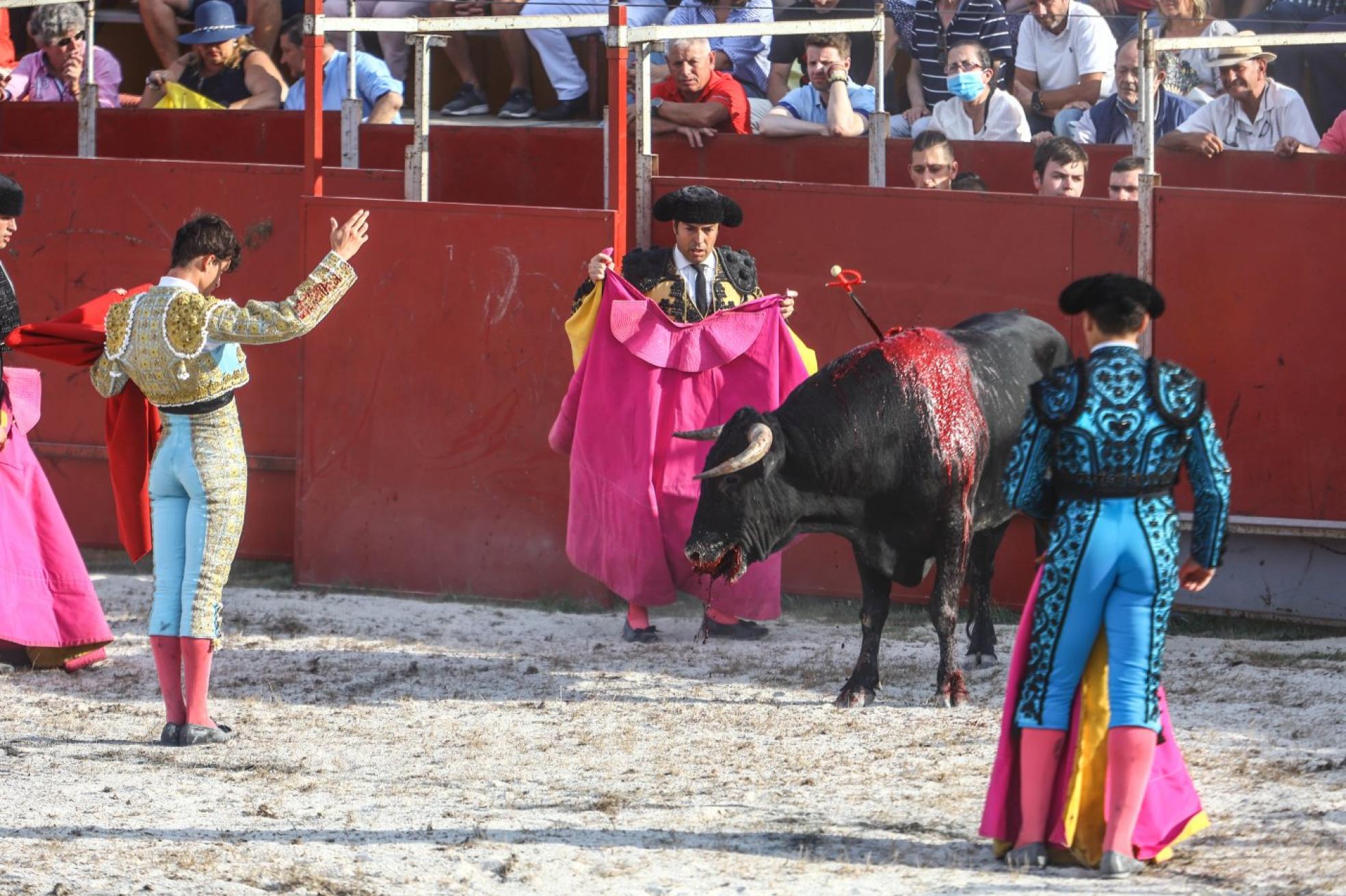 Daniel Medina, ante uno de los toros lidiados ayer en Benia.