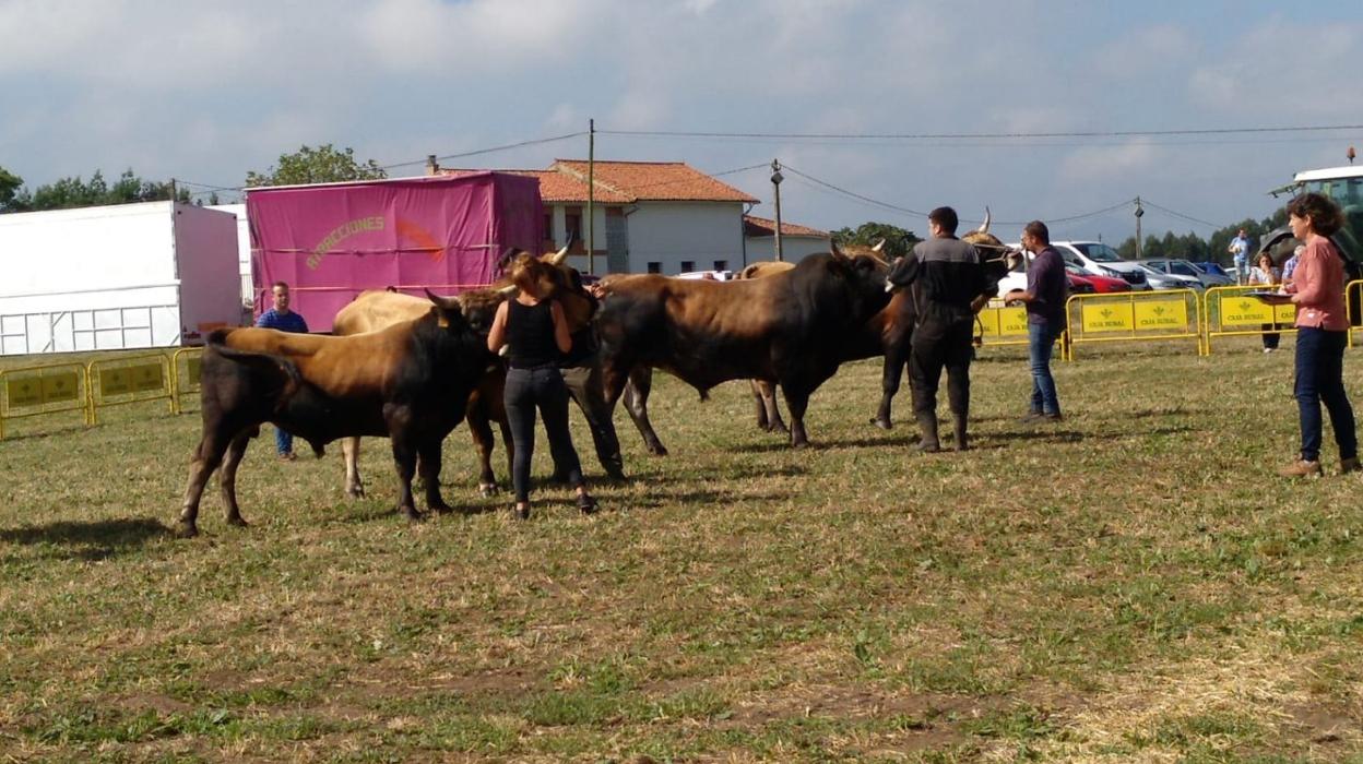 Una de las calificaciones realizadas durante la jornada de ayer. 