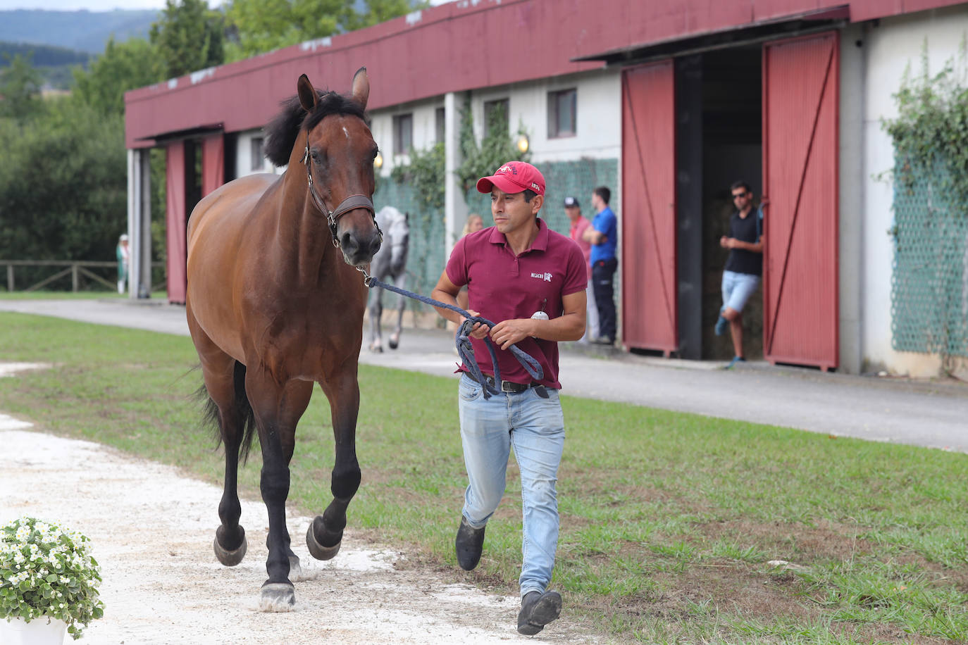 Fotos: El Hípico ya corre por las Mestas