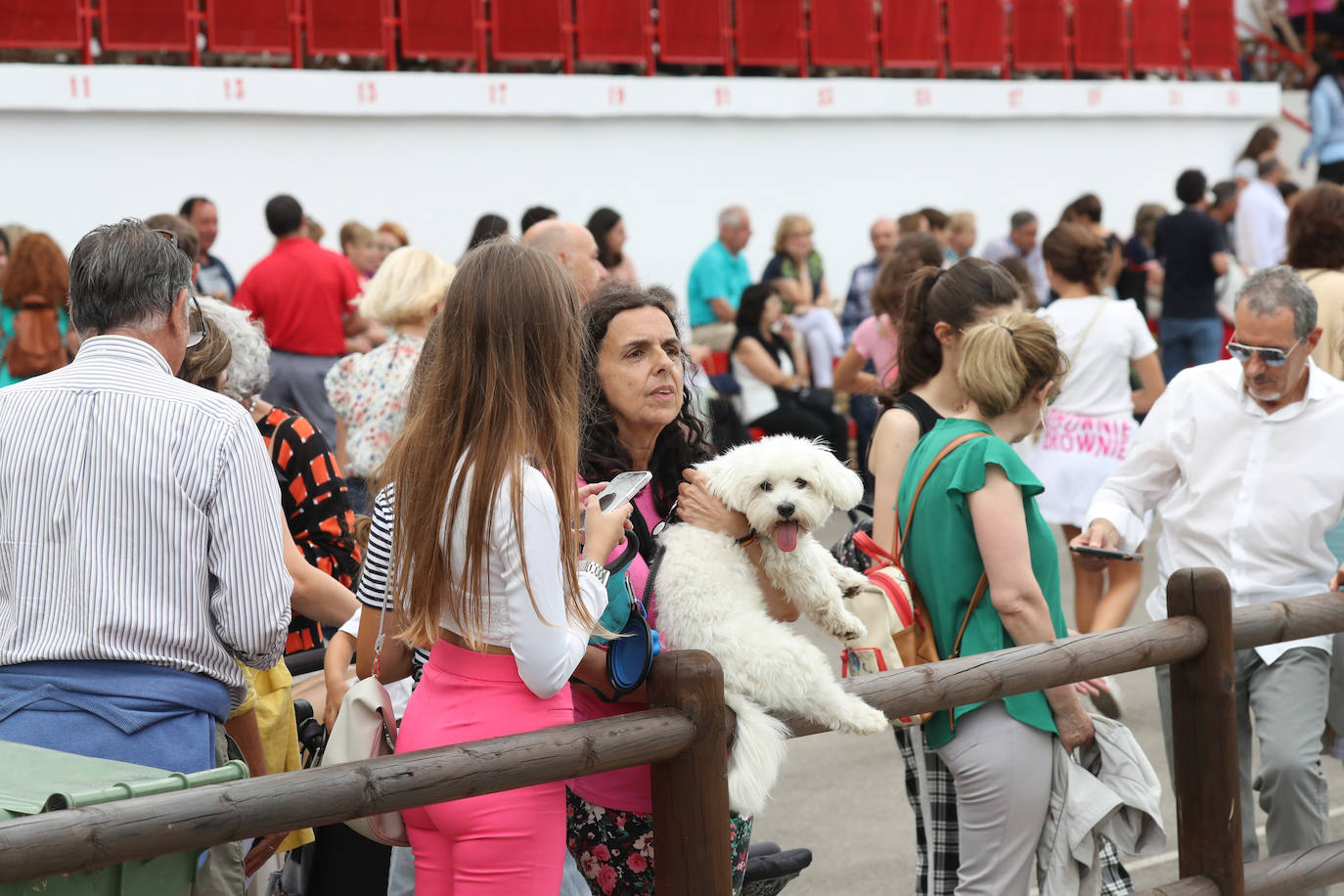 Fotos: El Hípico ya corre por las Mestas