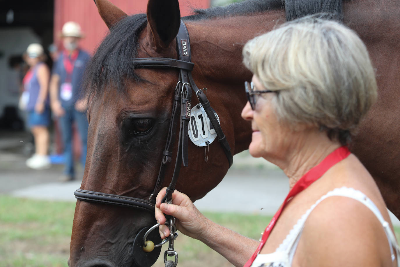 Fotos: El Hípico ya corre por las Mestas