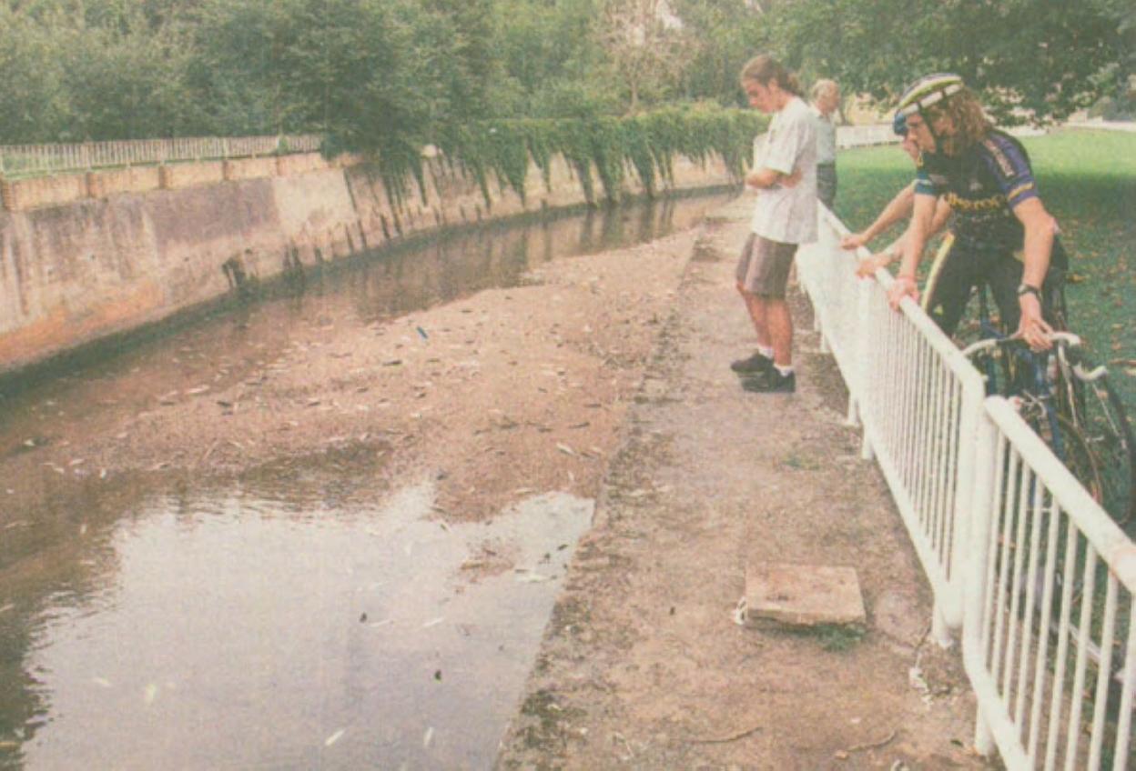 Muchos curiosos acudieron a presenciar el triste espectáculo.