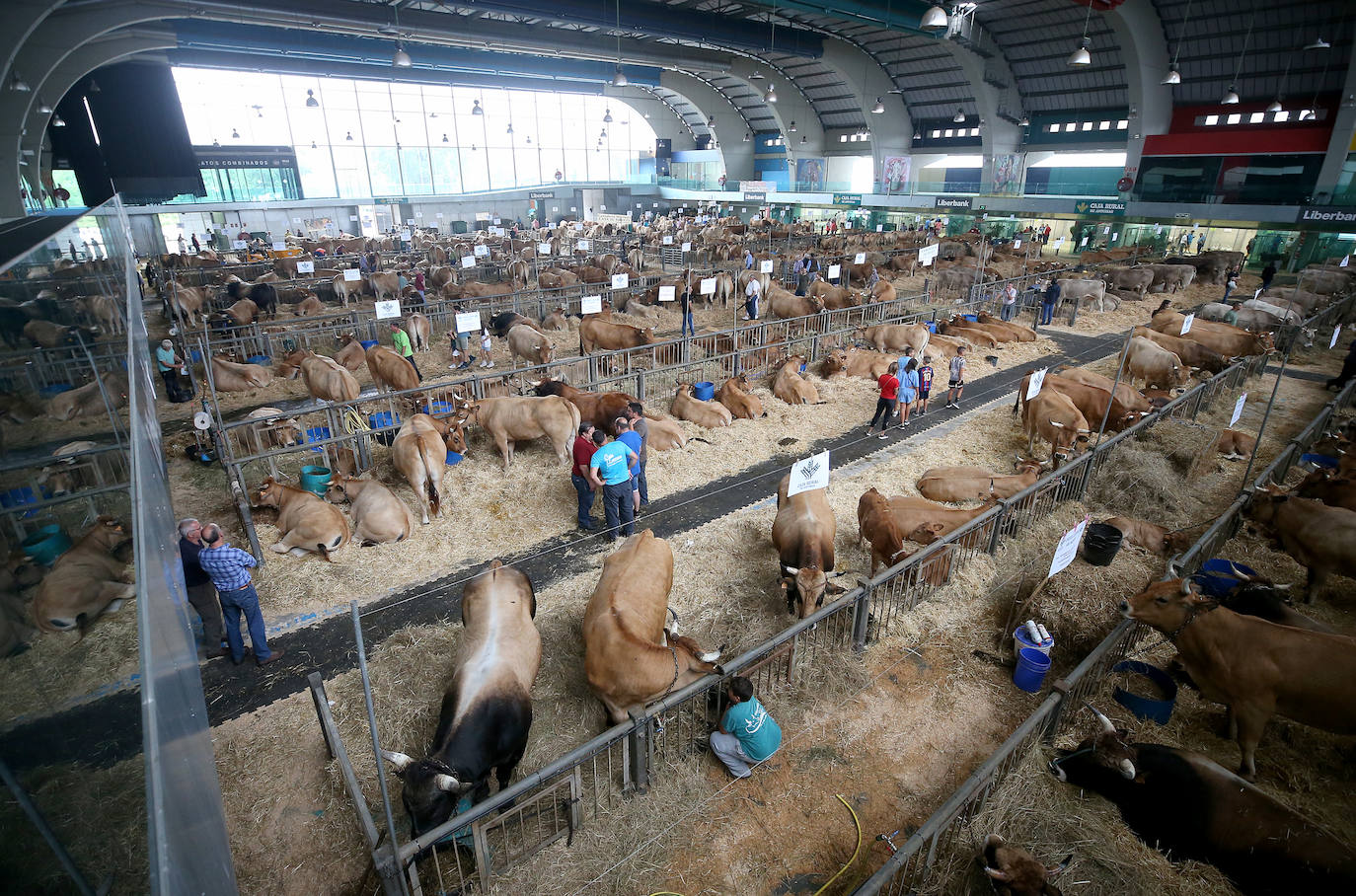 Fotos: Mercado de ganado en Avilés