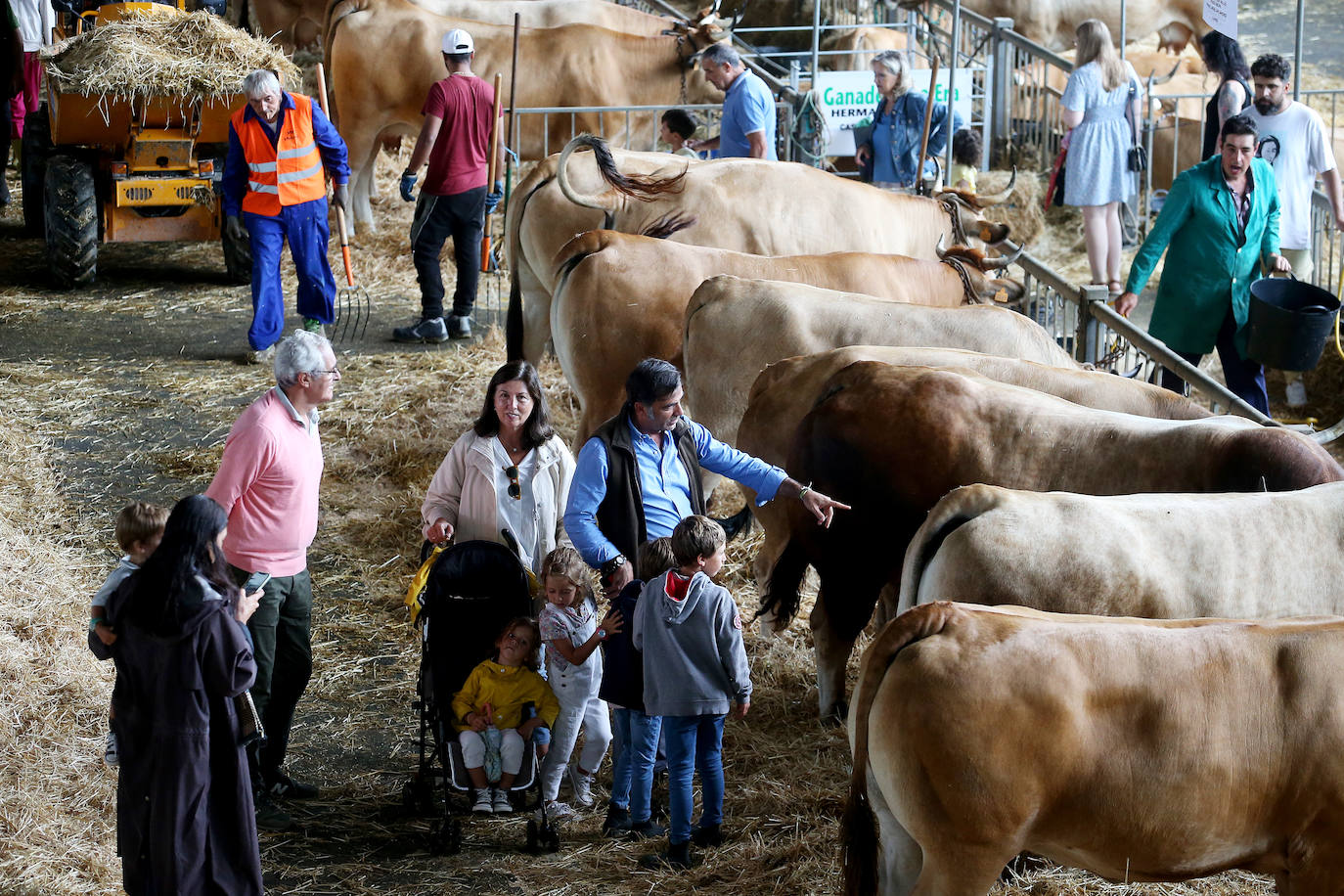 Fotos: Mercado de ganado en Avilés