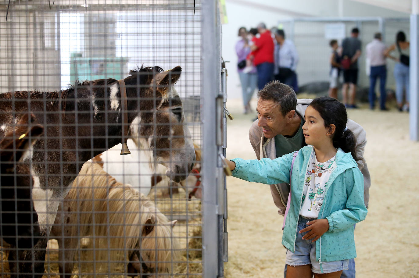 Fotos: Mercado de ganado en Avilés