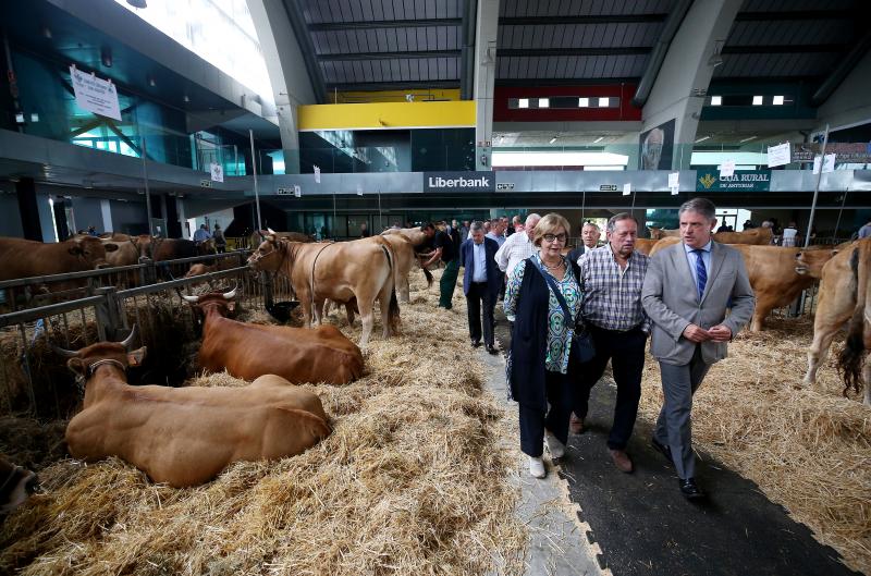 Fotos: Las vacas desfilan de nuevo en La Magdalena