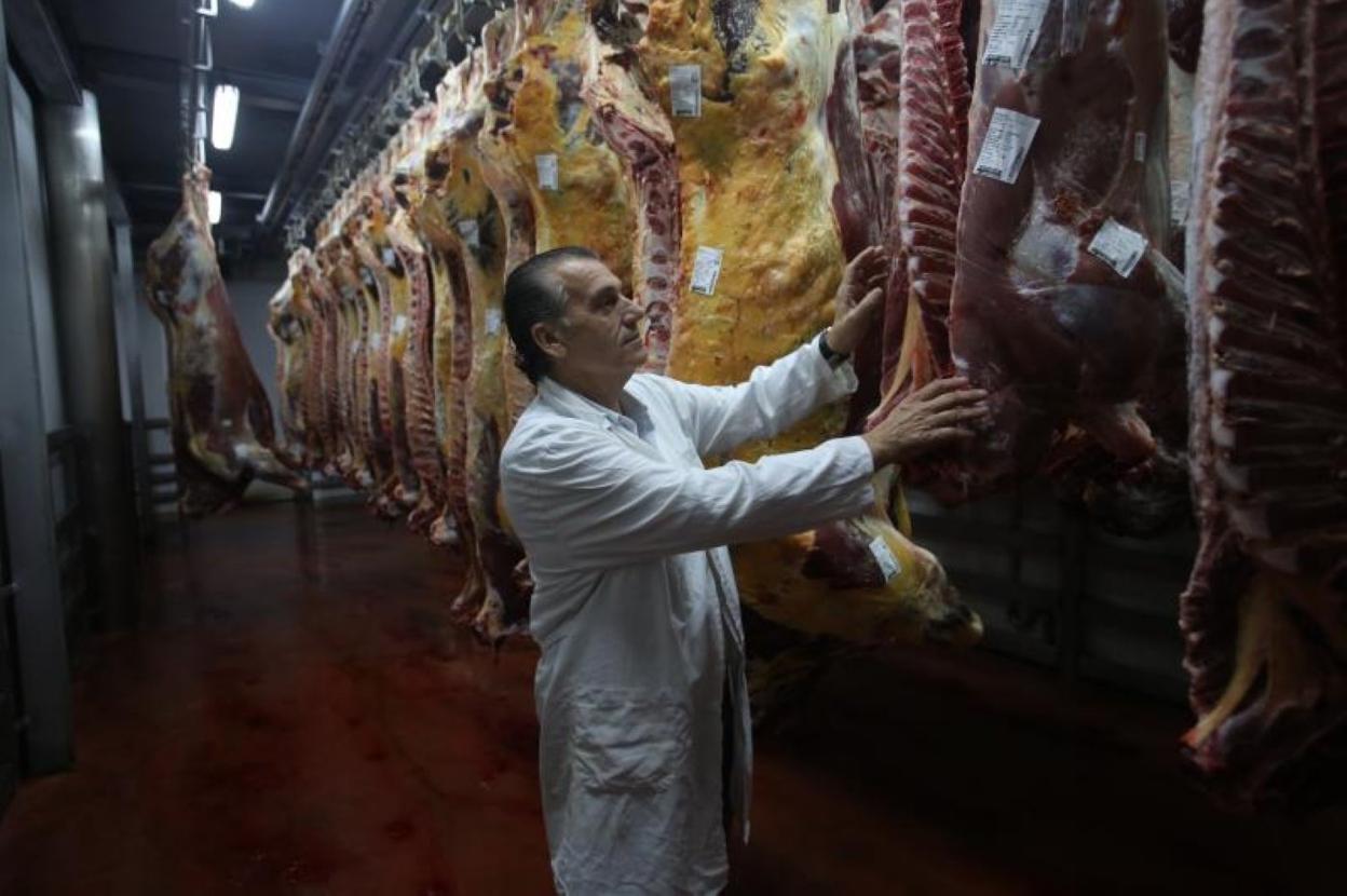 Luis Alberto Sánchez 'Panero', gerente del Matadero Central de Asturias, está buscando otras alternativas a la subida de las tasas. 