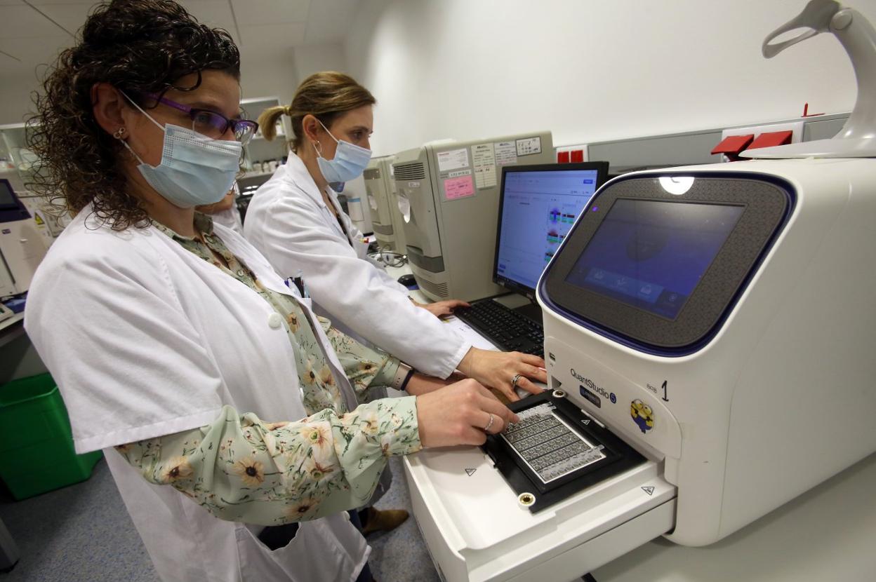 Procesado de las pruebas PCR en el Laboratorio de Microbiología del Hospital Universitario Central de Asturias (HUCA). 