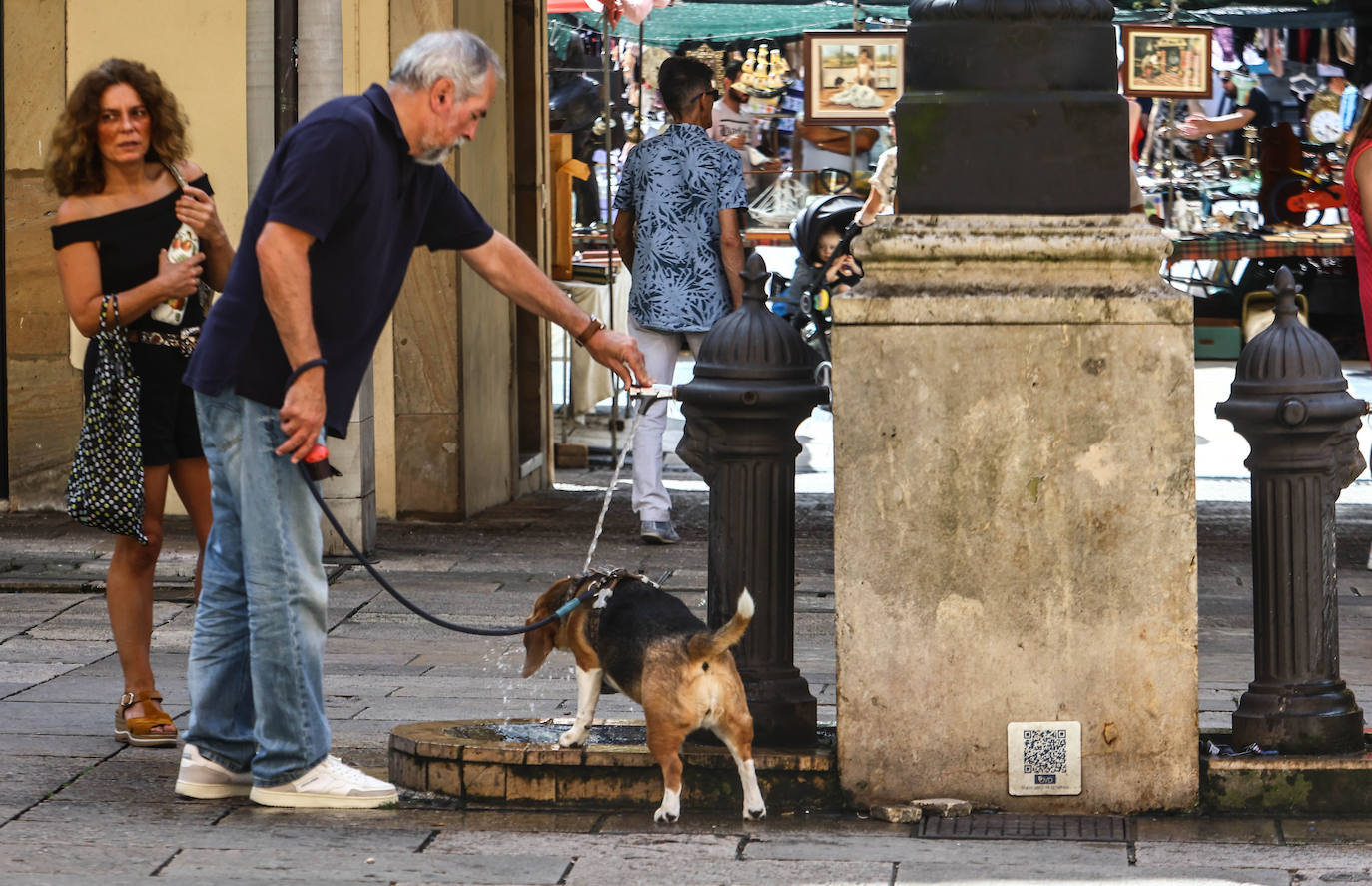 Fotos: Asturias presume de buen tiempo en los últimos días del verano