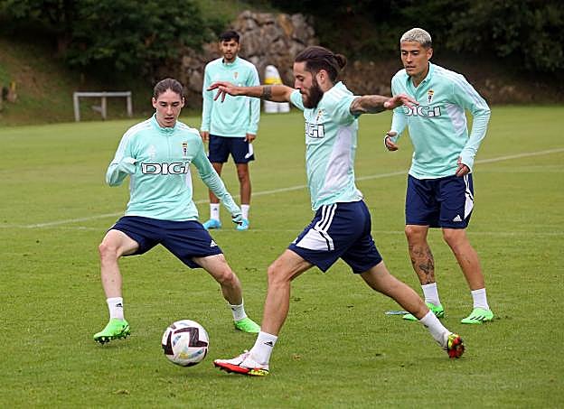 Una defensa azul con la recámara muy cargada