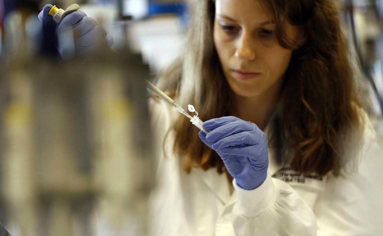 Encuentran relación entre un mecanismo y la obesidad. 