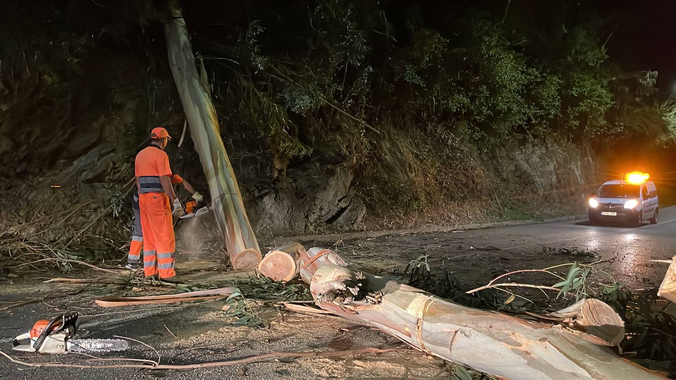 Los operarios trabajando para despejar la carretera.