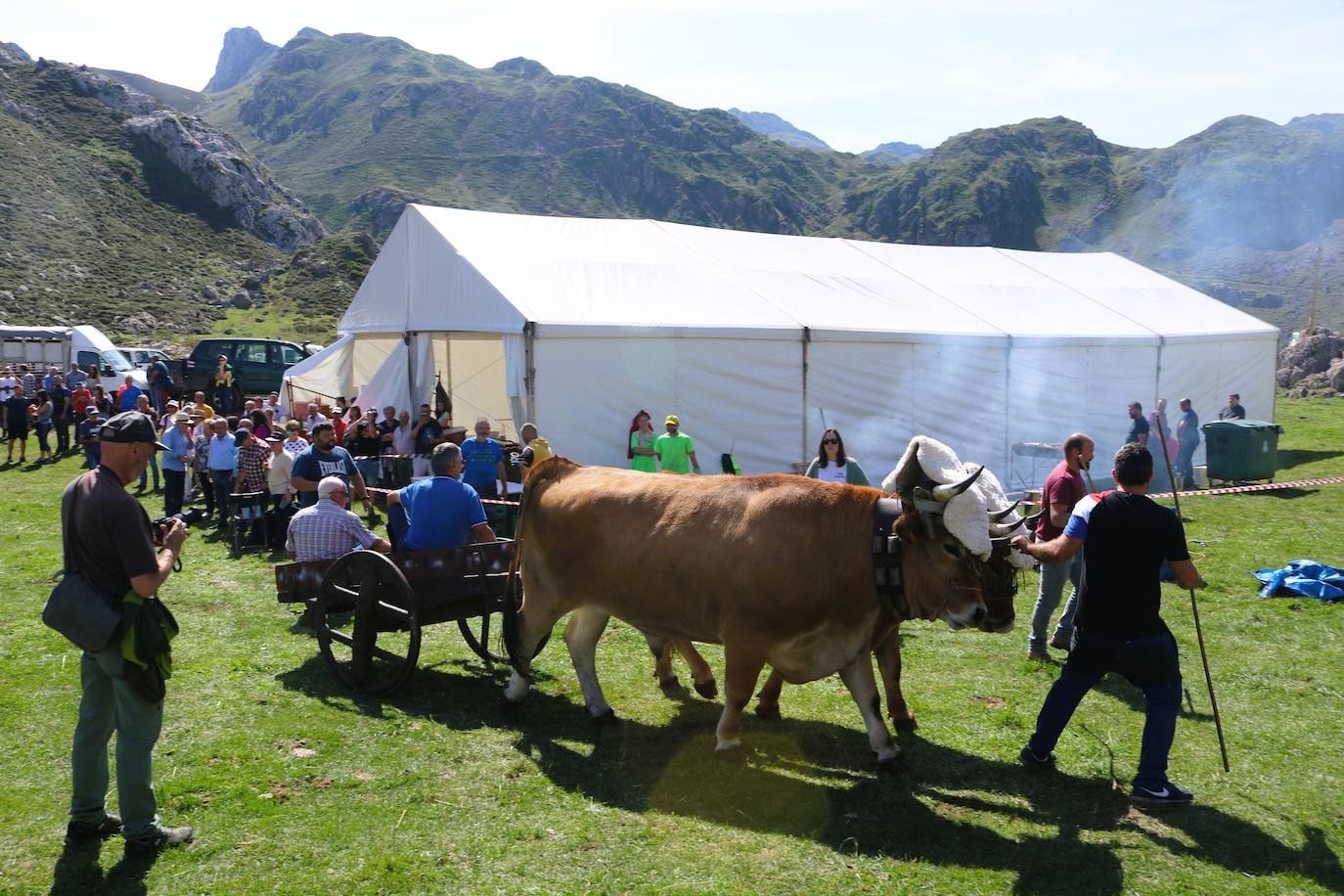 Fotos: Somiedo recuerda la trashumancia