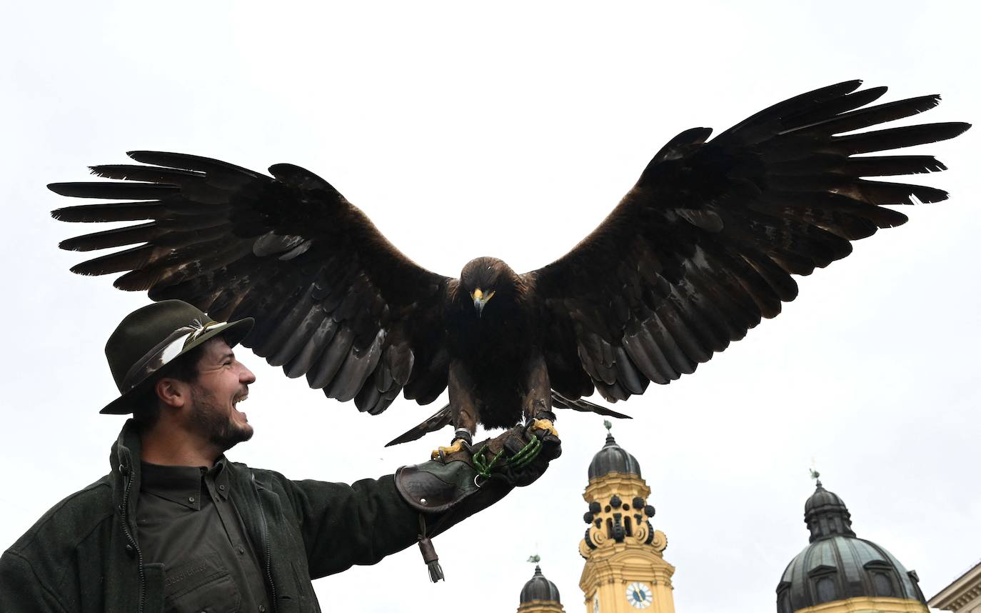 Fotos: Tradición alemana a golpe de cerveza