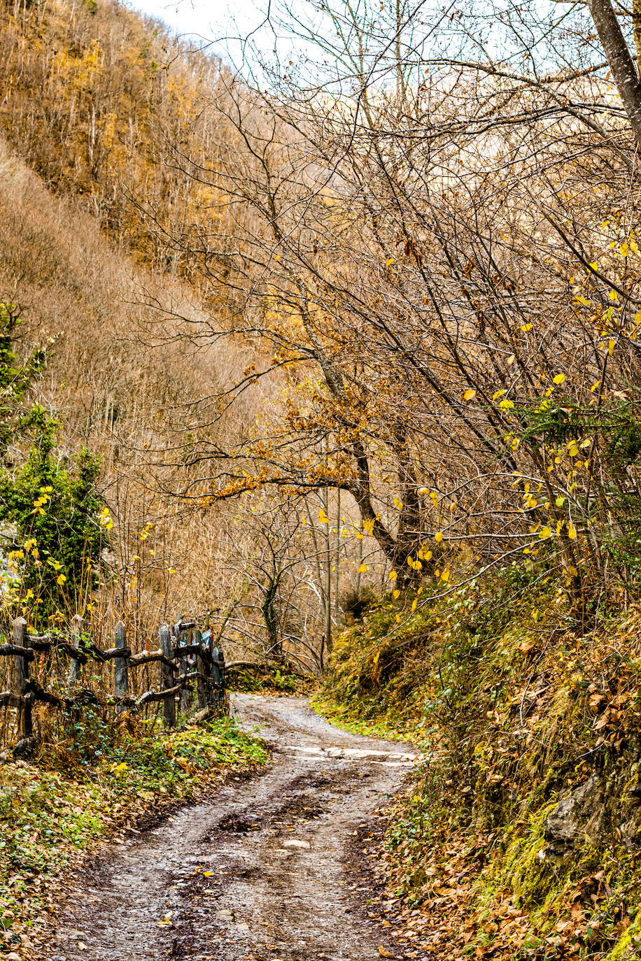 Fotos: Paisajes únicos que podrás ver en Asturias este otoño