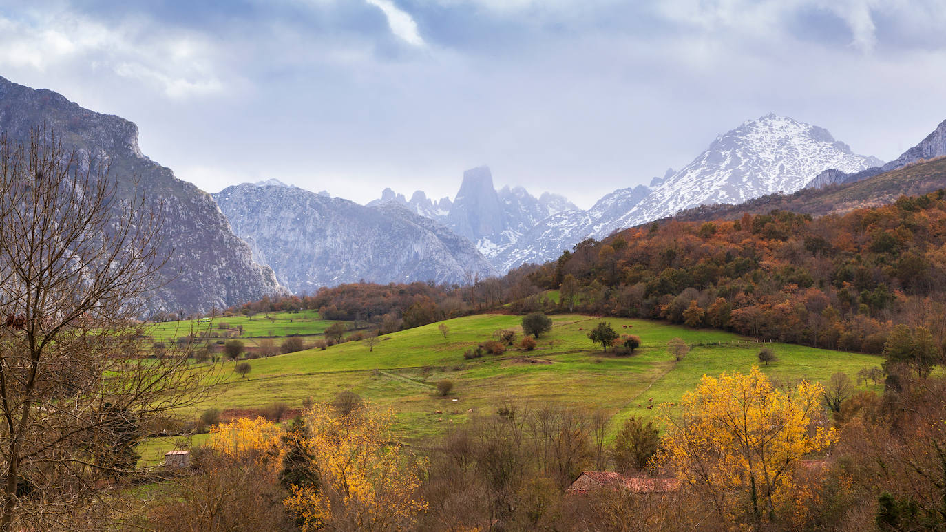 También conocido como Naranjo de Bulnes