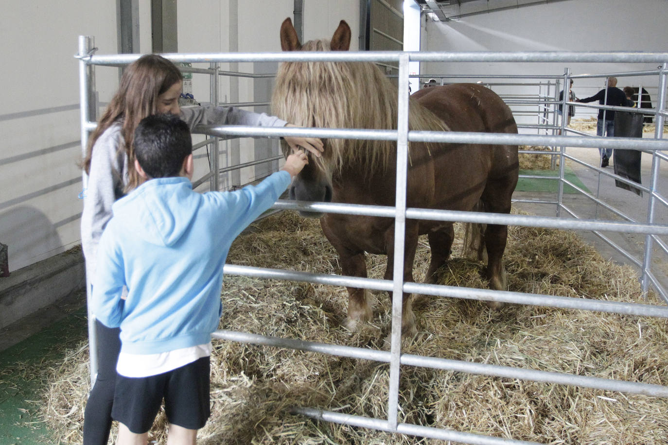 Fotos: El mundo rural asturiano: un paseo por Agropec