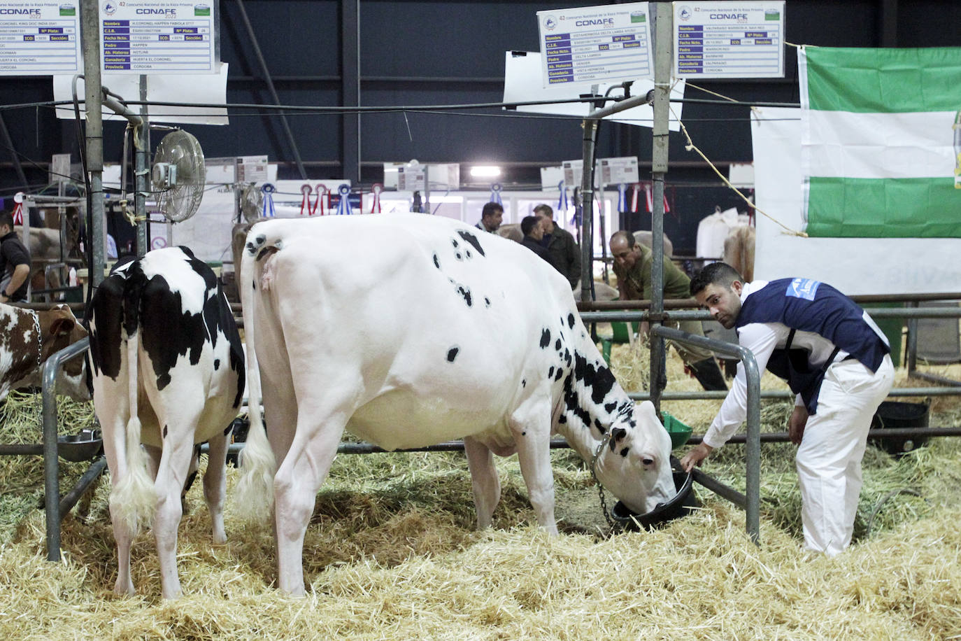 Fotos: El mundo rural asturiano: un paseo por Agropec