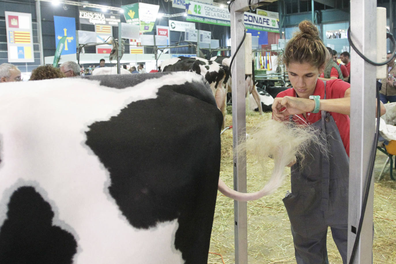 Fotos: El mundo rural asturiano: un paseo por Agropec