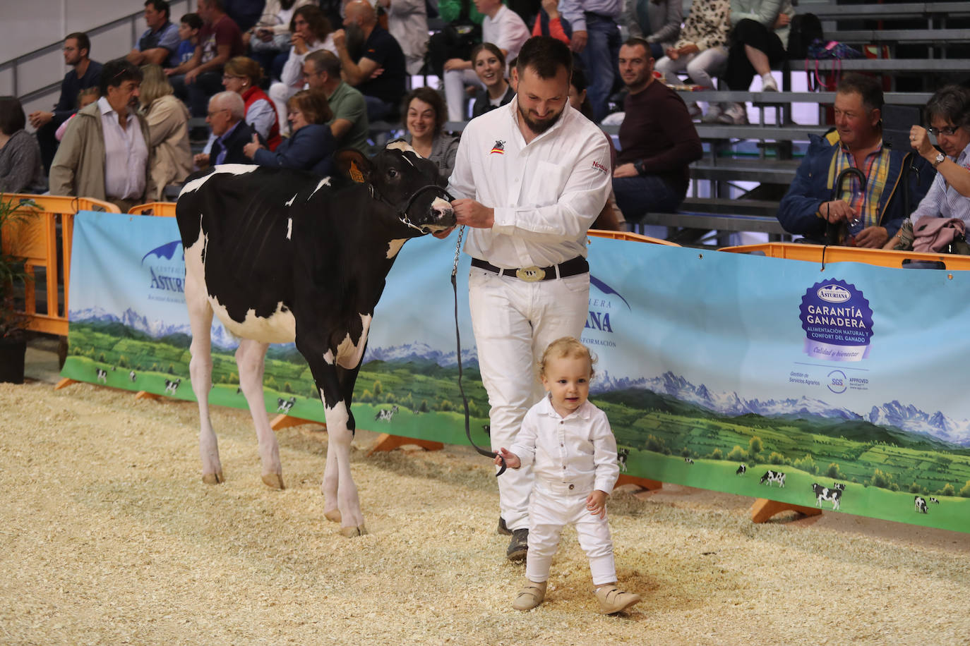 Fotos: La esencia de Agropec, la feria del campo asturiano