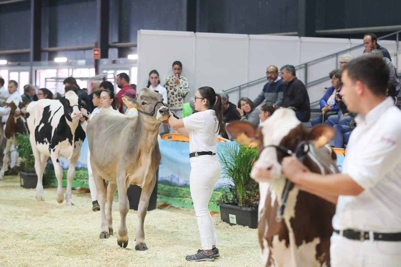 Fotos: La esencia de Agropec, la feria del campo asturiano