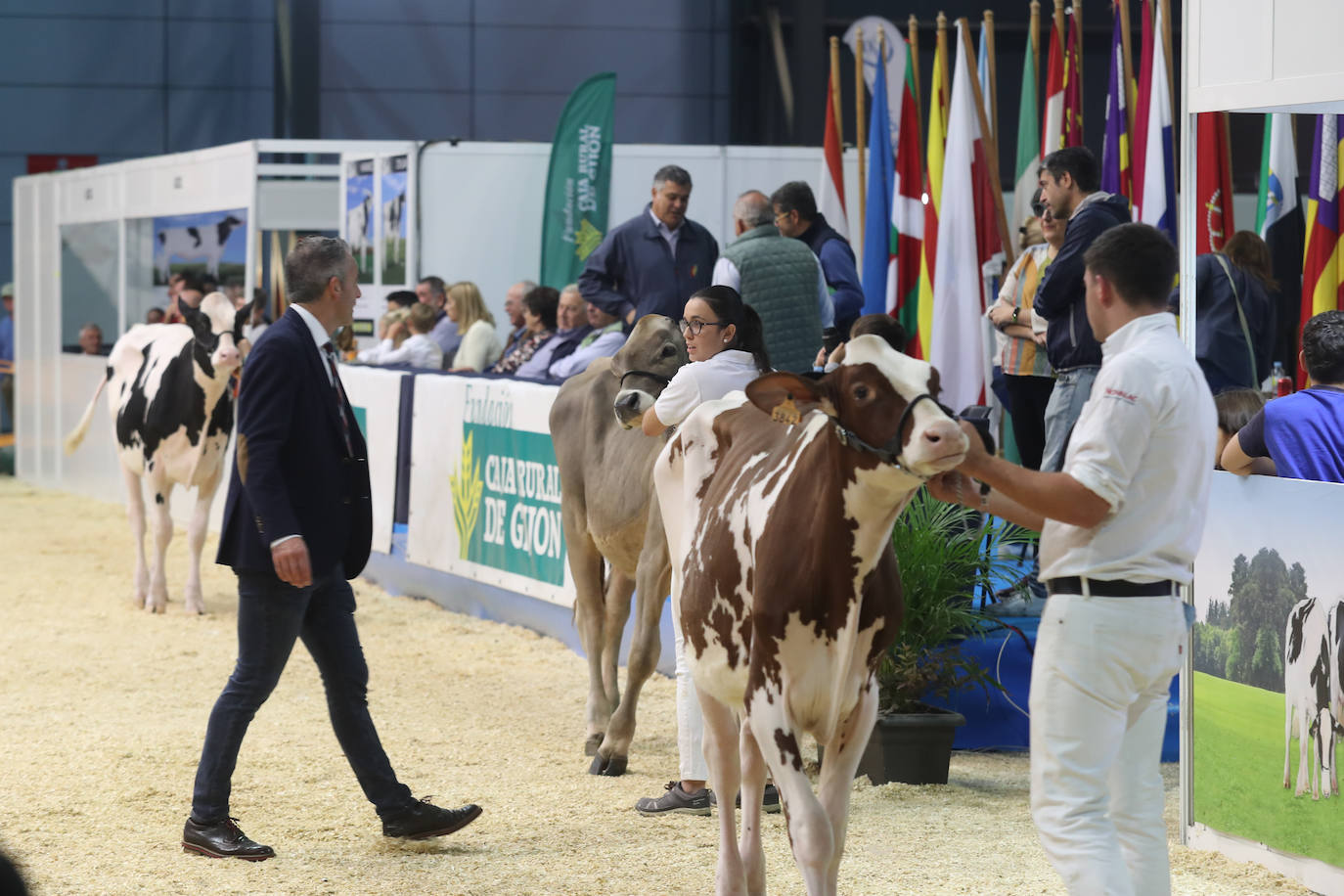 Fotos: La esencia de Agropec, la feria del campo asturiano