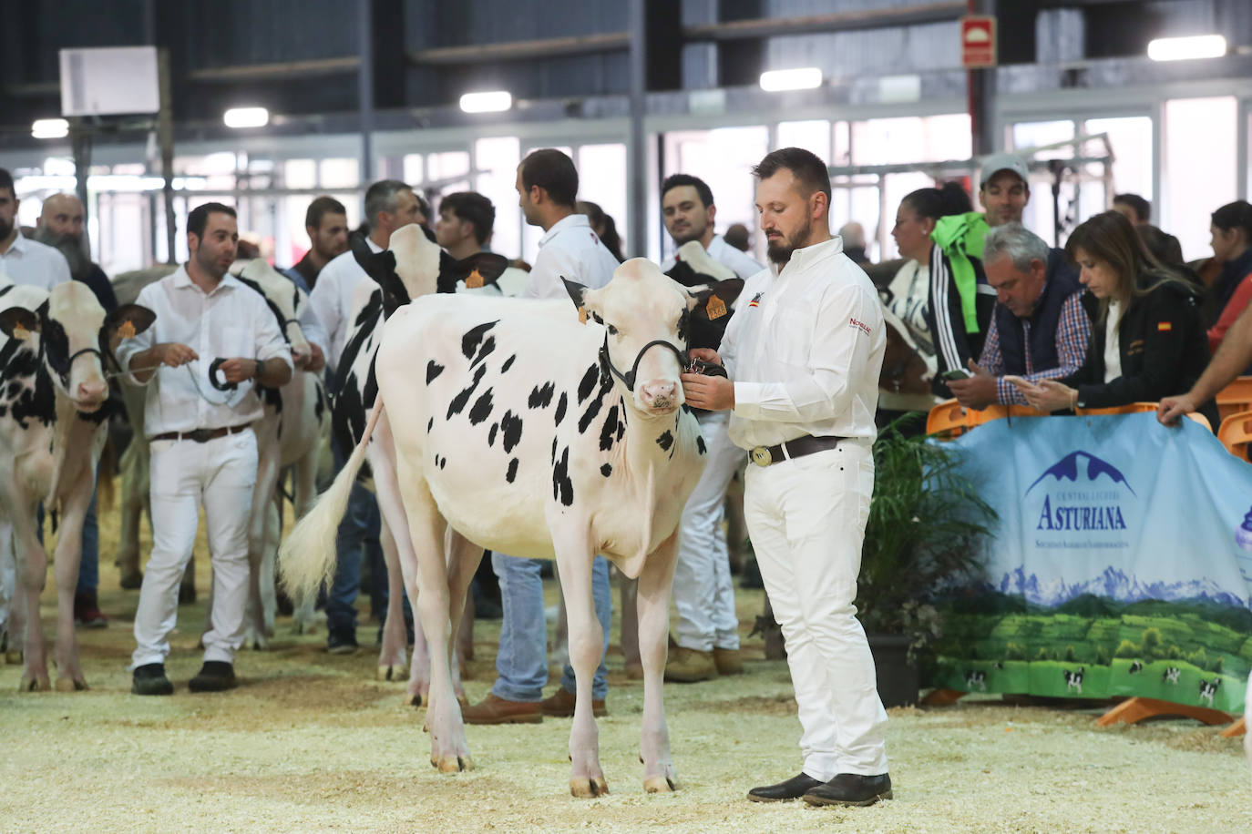 Fotos: La esencia de Agropec, la feria del campo asturiano