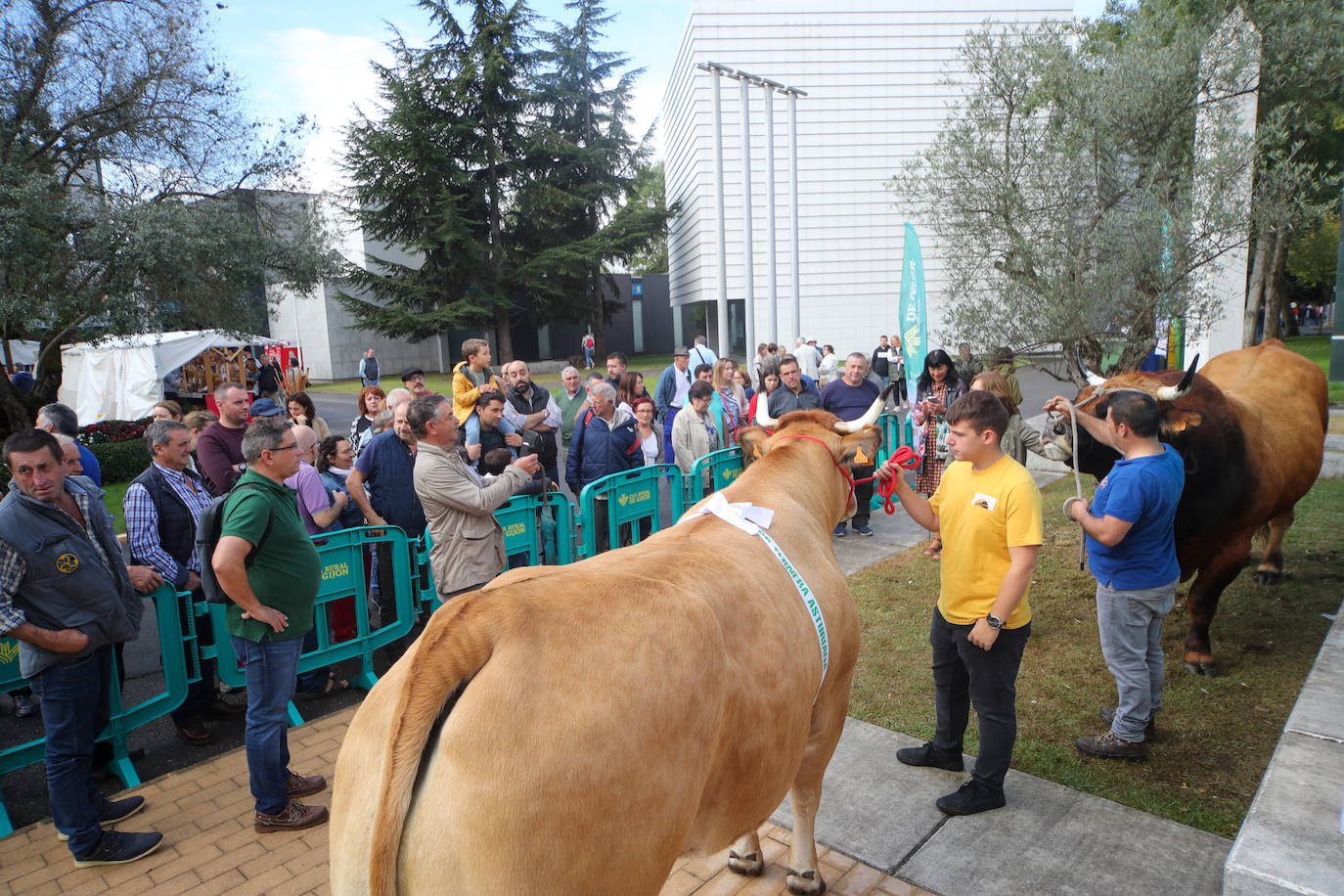 Fotos: La esencia de Agropec, la feria del campo asturiano