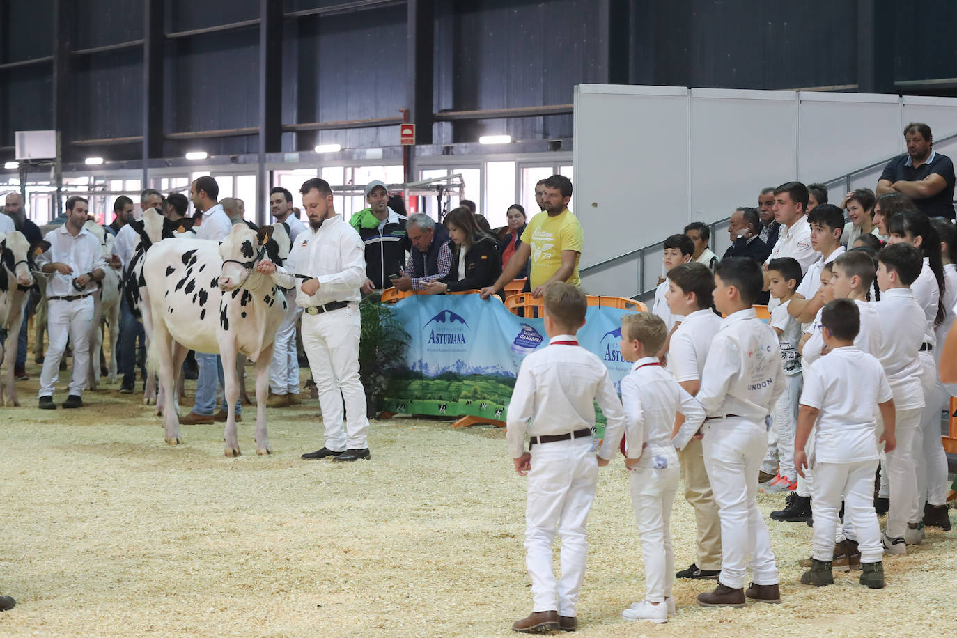 Fotos: La esencia de Agropec, la feria del campo asturiano