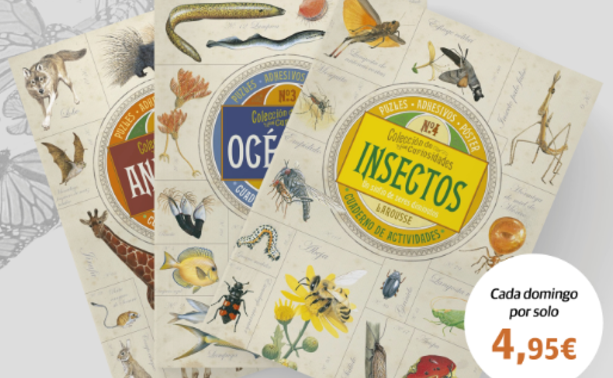 Despierta la curiosidad de los más pequeños con los Cuadernillos Larousse