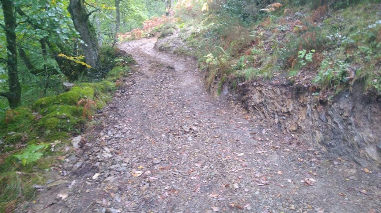 La pista del Parque Natural de Redes. 