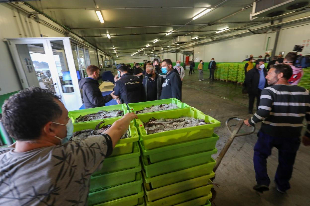 Descarga de pescado fresco en la rula de Avilés, listo para subastar. 