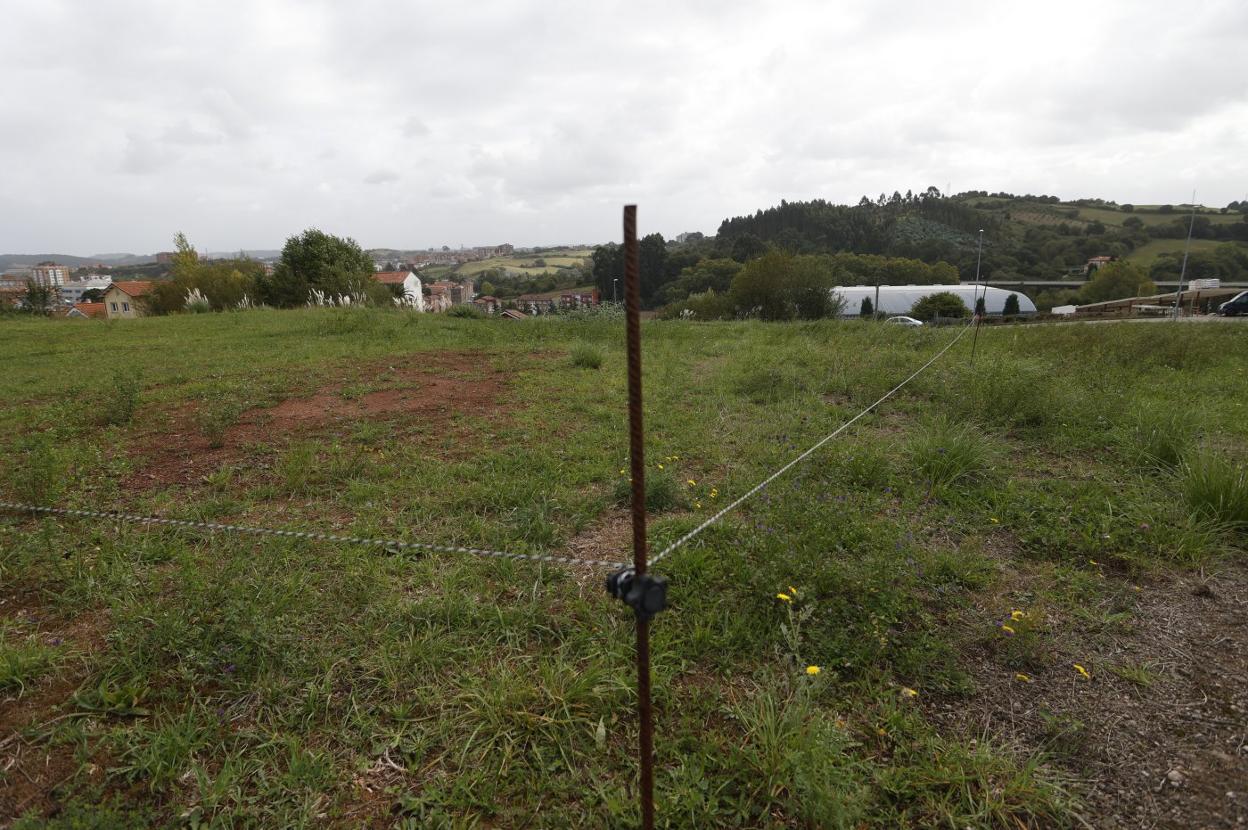 El nuevo centro de FP se levantará en una parcela municipal en La Grandiella.