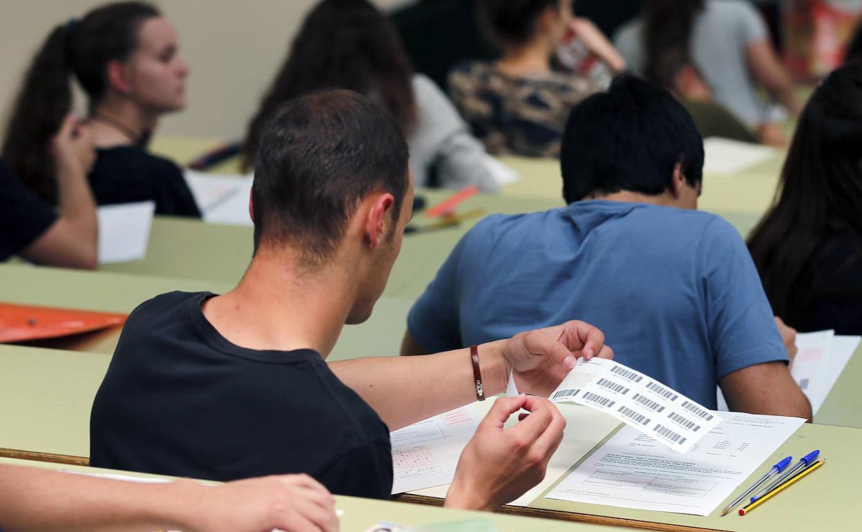 Relacionan el nivel de estudios con los ingresos económicos familiares. 