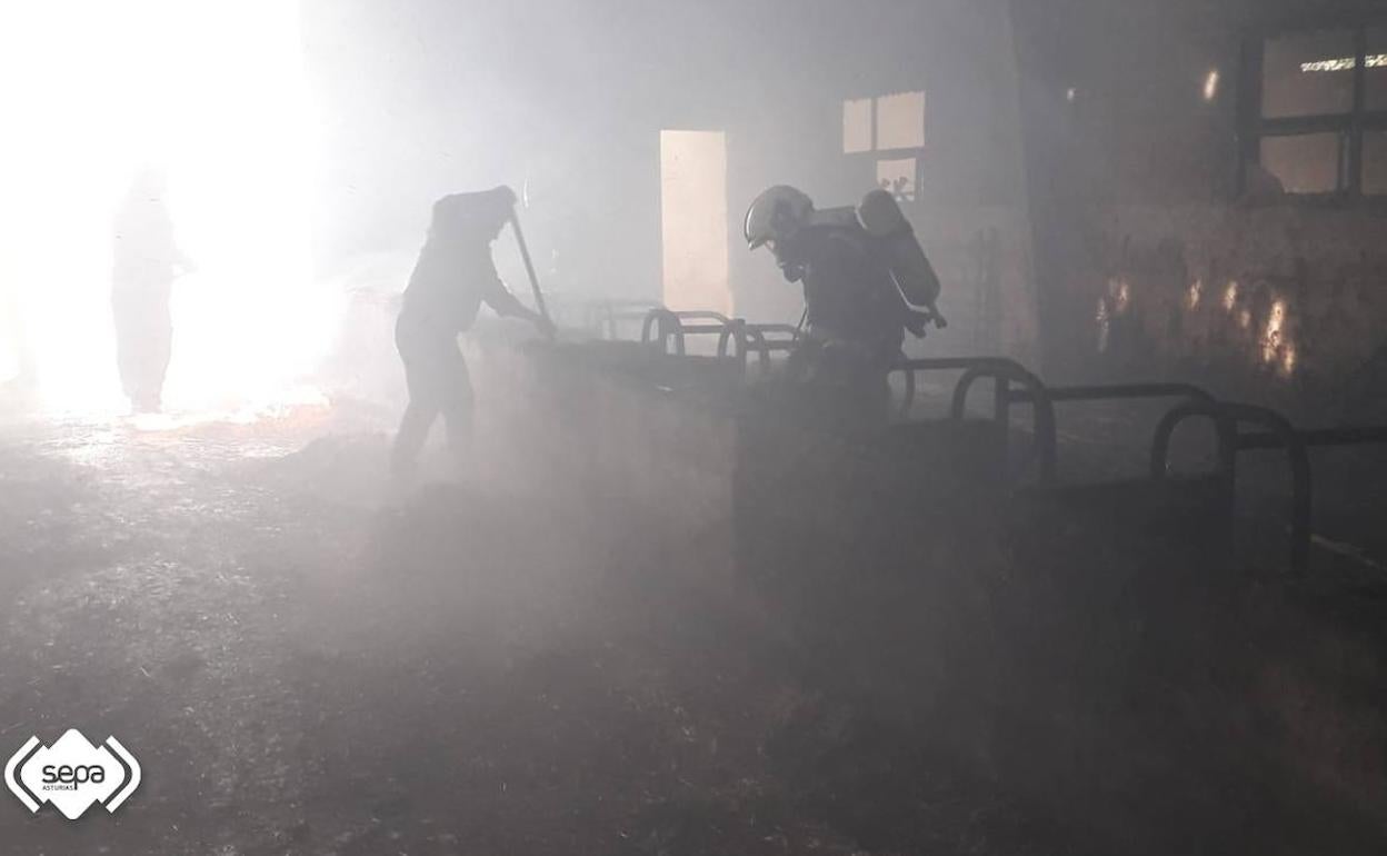 Labores de extinción de los Bomberos en el incendio.