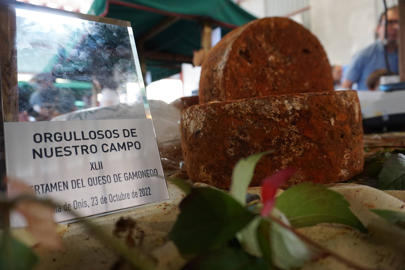 Fotos: Certamen del queso Gamonéu en Benia de Onís