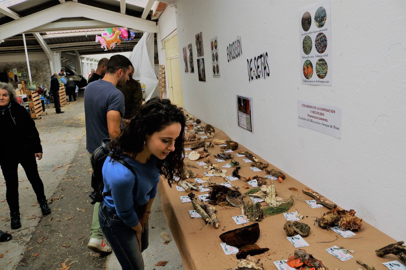 Fotos: IGP Chosco de Tineo, un éxito